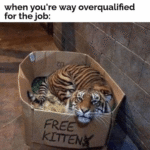 yup thats me.png