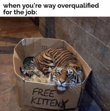 yup thats me.png