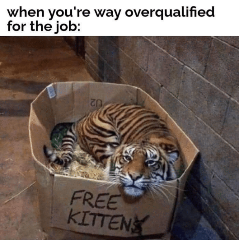 yup thats me.png