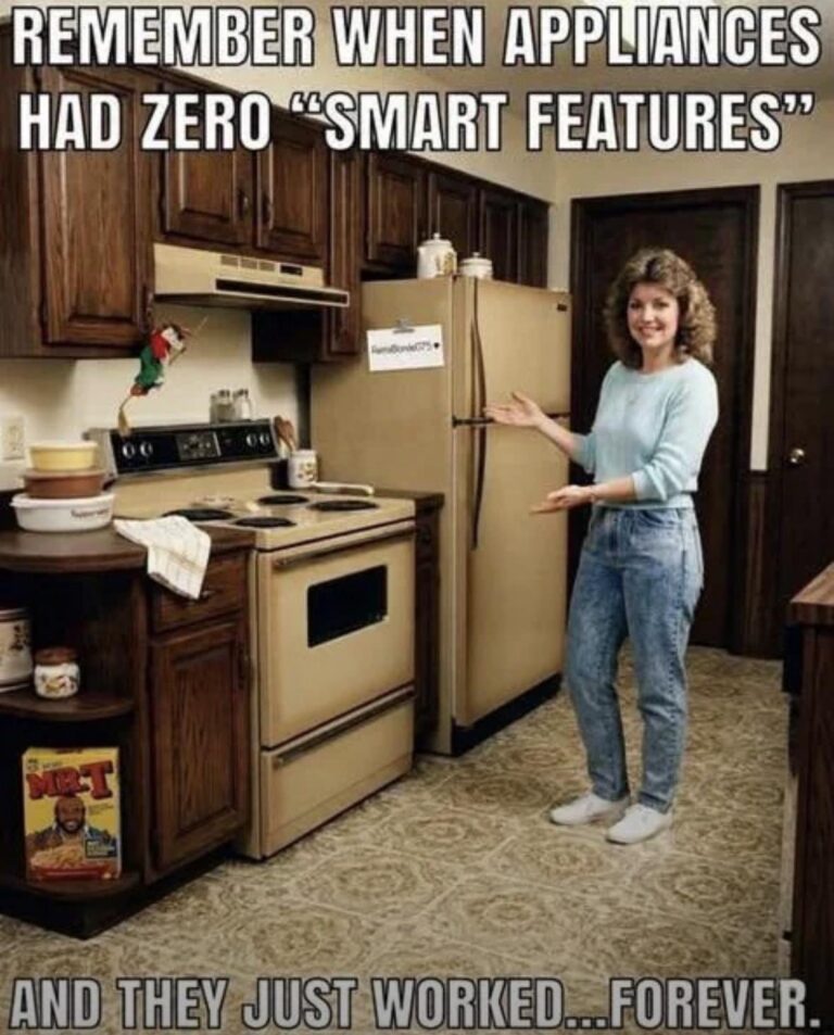 when appliances were simple.jpeg