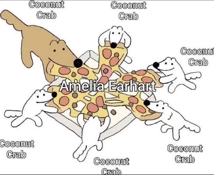 nom nom nom.jpeg