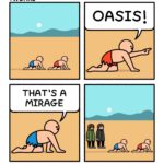 oc oasis.jpeg