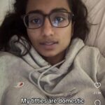 my titties are domestic terrorism.jpeg